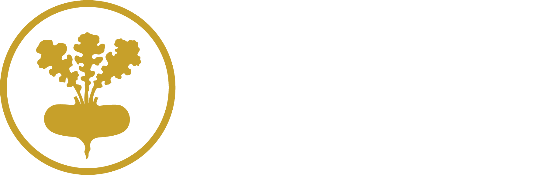 Kiikala Local History Museum